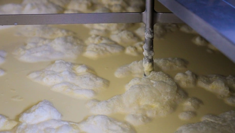 Παραγωγή γιαουρτιού