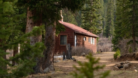 Καλύβα στο δάσος