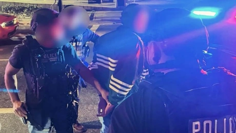 Νικ Ράινερ σύλληψη