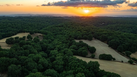 πελοπόννησος