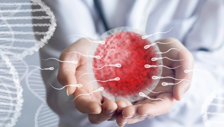 Σπερματοζωάρια