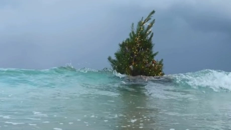 χριστουγεννιάτικο δέντρο θάλασσα