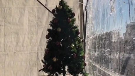 Χριστουγεννιάτικο δέντρο αγρότες Καρδίτσα