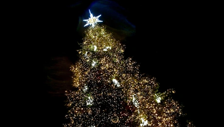 Χριστουγεννιάτικο δέντρο