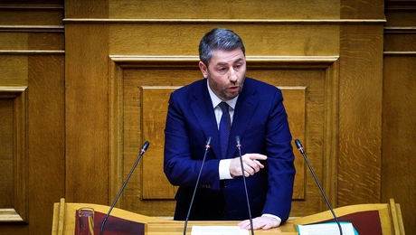 Ο Νίκος Ανδρουλάκης στην Ολομέλεια