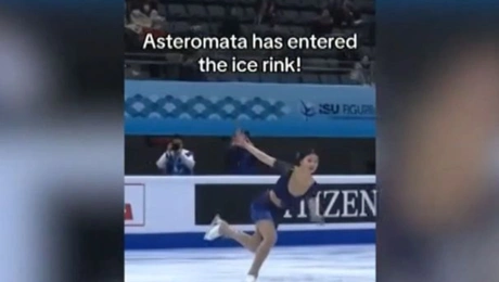 πατιναζ-αστεροματα