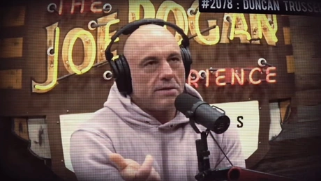 joe rogan