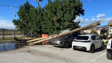 Προβλήματα στη Φθιώτιδα λόγω θυελλωδών ανέμων