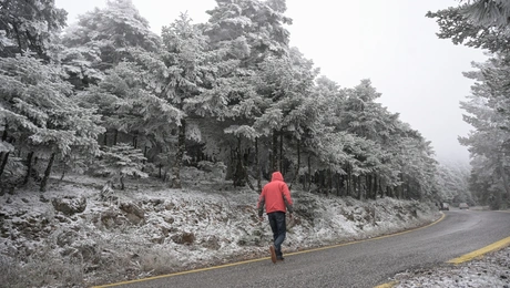 Χιονισμένος δρόμος