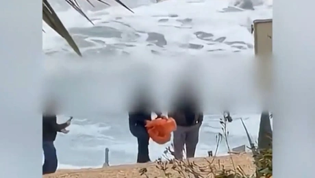 χελώνα κύπρος