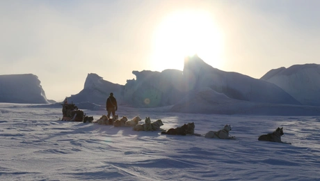 Η επίλεκτη ομάδα Sirius Patrol