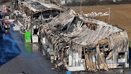 Βιολάντα εργοστάσιο