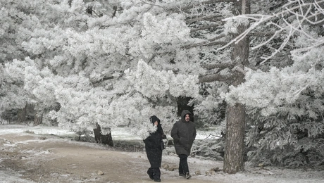 Έντονη χιονόπτωση