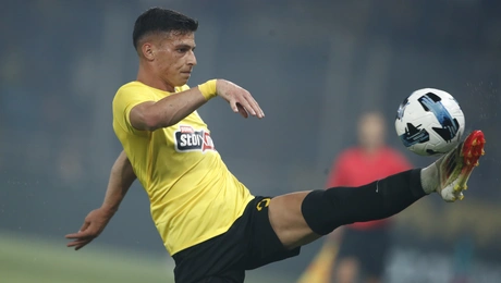 Σταύρος Πήλιος