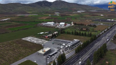 Βιολάντα - Μακρυχώρι