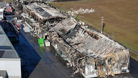Βιολάντα - Τρίκαλα