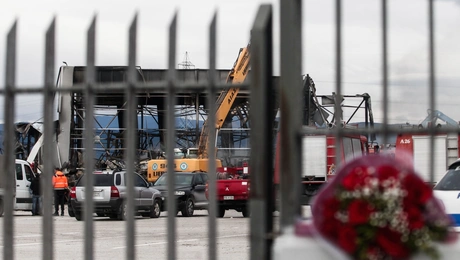 εργοστάσιο-βιολάντα