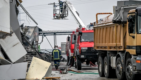 Εργοστάσιο Βιολάντα