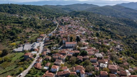 Λαύκος Πηλίου