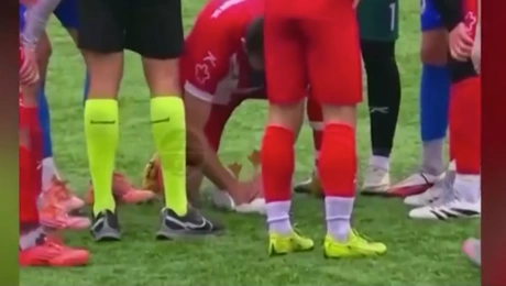 ποδοσφαιριστής γλάρος