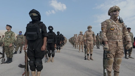 Φρουροί της Επανάστασης