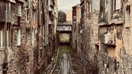 Γέφυρα του Μάγκα