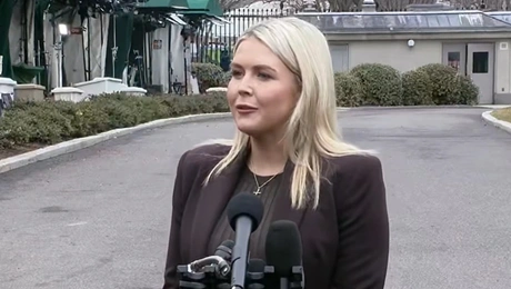 Καρολάιν Λεβίτ