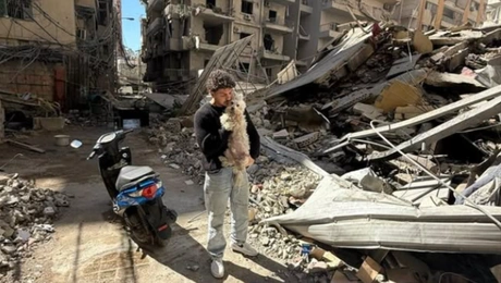 Ο 20χρονος Mohammad Habli διασώζει τα εκτοπισμένα ζώα του Λιβάνου