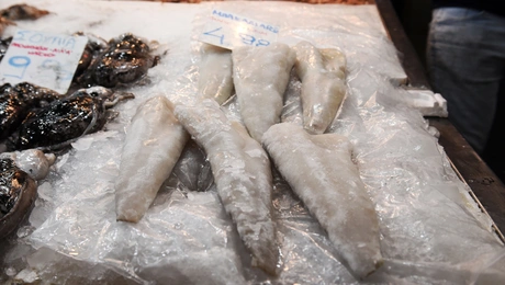 Μπακαλιάρος