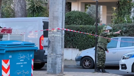 πεύκη-οβιδα