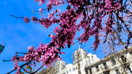 Αθήνα - καιρός