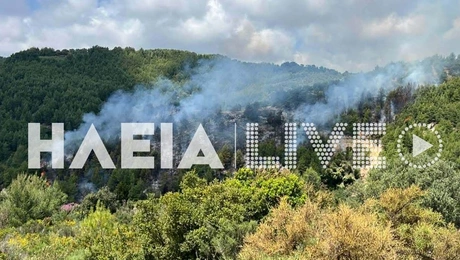 Φωτιά - Ηλεία