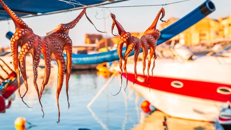 Ελληνική ταβέρνα