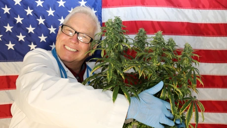 H κάνναβη στις ΗΠΑ