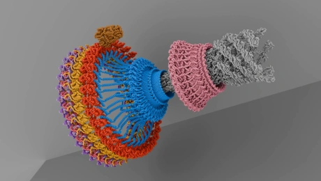 Ένας ηλεκτρικός κινητήρας δισεκατομμυρίων ετών