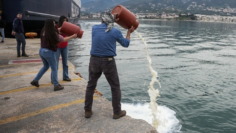 λεσβοσ κτηνοτροφοι αφθωδης πυρετοσ