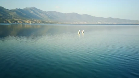 Λίμνη Πολυφύτου