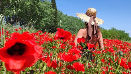 Πρωτομαγιά