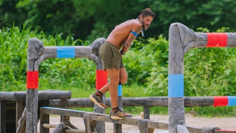 Survivor Μιχάλης Σηφάκης