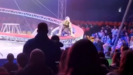 τιγρη ρωσια τσιρκο