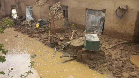 afganistan_plimmires
