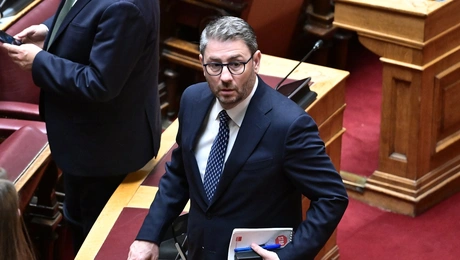 Νίκος Ανδρουλάκης