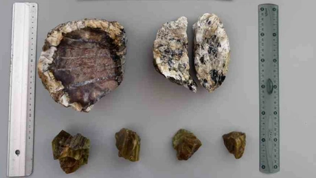 apolithomeno_dasos