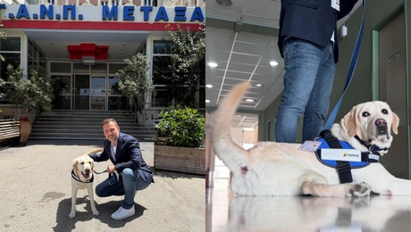 Ντύλαν, ο σκύλος θεραπείας του Μεταξά