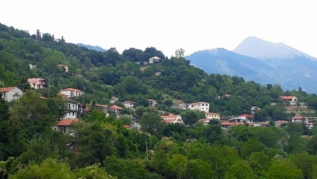 Ανθηρό 