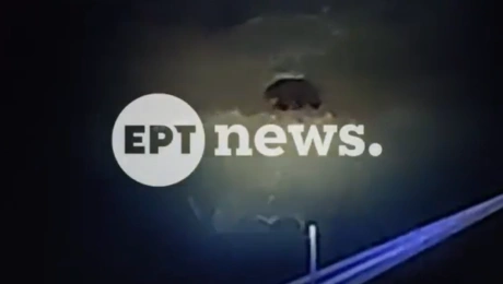 Αρκούδα σε αυλή σπιτιού