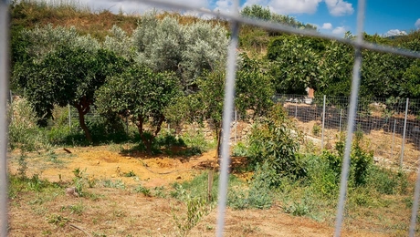 χανια δολοφονια 45χρονη