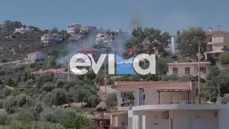 Φωτιά στην Εύβοια κοντά σε κατοικημένη περιοχή