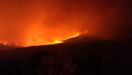 Η πύρινη λωρίδα στη Βοιωτία