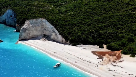 Φτέρη Κεφαλονιά
